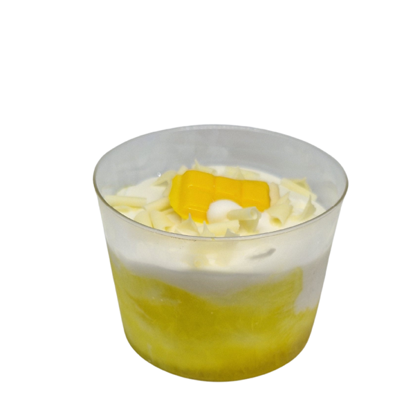 dolce arte, helados artesanos, helados monoporciones, helados gourmet españa, postres helados, postres semifrios (34)